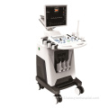 Full digital 4D Laptop color doppler Ultrasound Machine